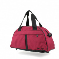 Gym bag 213